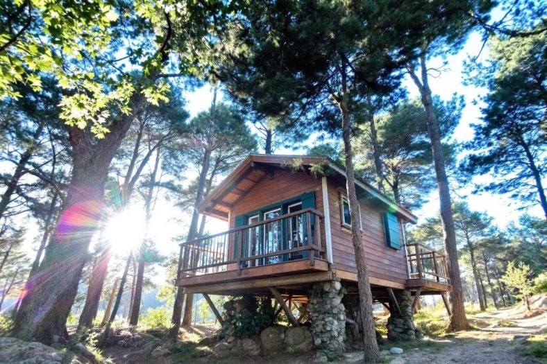 Cabanes dans les arbres en Occitanie : hébergements insolites et locations