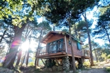 Cabane dans les arbres Occitanie : Nuit insolite en nature