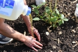 Peut on jeter huile de friture dans le jardin ? Interdit ?