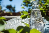 Eau gazeuse naturelle sans adjonction gaz : Marques & Choix