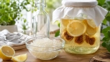 Où trouver des Grains de Kéfir​ de Fruits, Lait ou Déshydratés ?