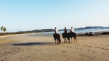 Séjour en Camargue : l’équilibre parfait entre détente et découverte !